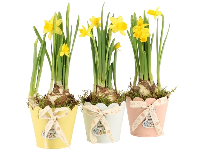 <h4>70857: Easter arrangement</h4>