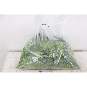 CONIFEREN ALUMI GOLD PER BAG 1000g