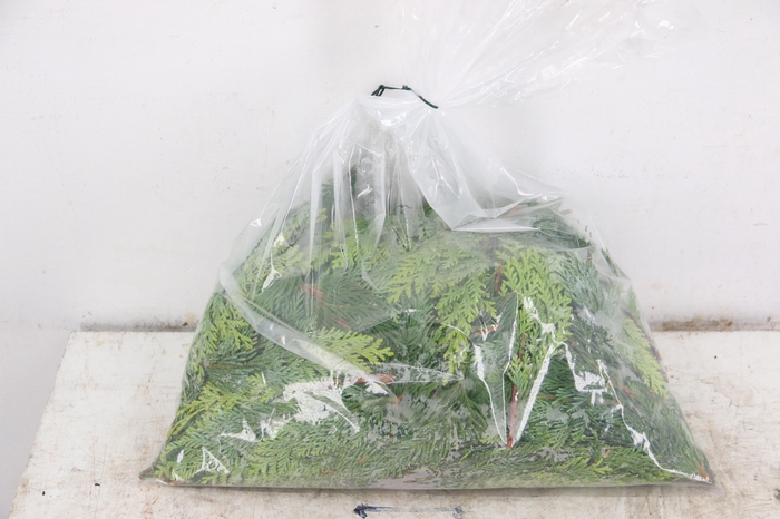 <h4>CONIFEREN ALUMI GOLD PER BAG 1000g</h4>