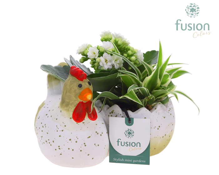 <h4>Kip keramiek Pasen met arrangement</h4>