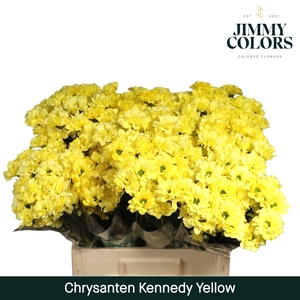 Chr T Kennedy Yellow
