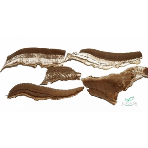 FUNGHI SLICES NATUREL 200GR