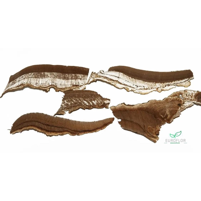 <h4>FUNGHI SLICES NATUREL 200GR</h4>