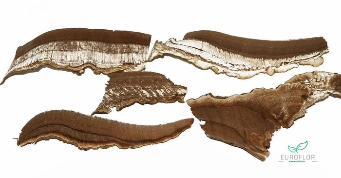 FUNGHI SLICES NATUREL 200GR