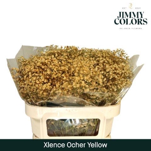 Gyps Xlence l70 Ochre Yellow
