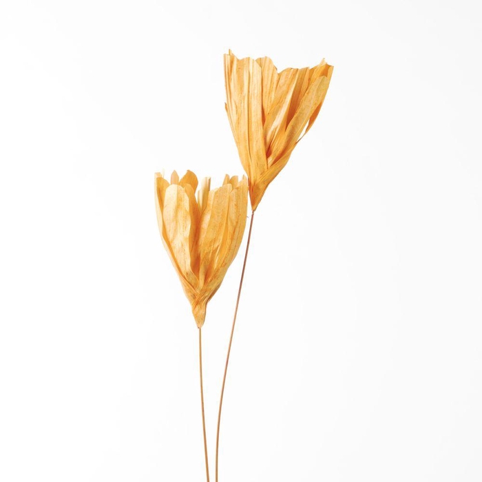 <h4>DF Fire Flower 105cm Peach 810</h4>