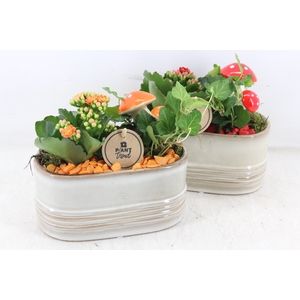 arr2 PL - Ker. ovaal glazed - oranje/rood