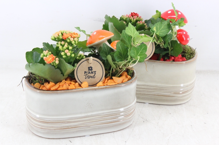 <h4>arr2 PL - Ker. ovaal glazed - oranje/rood</h4>