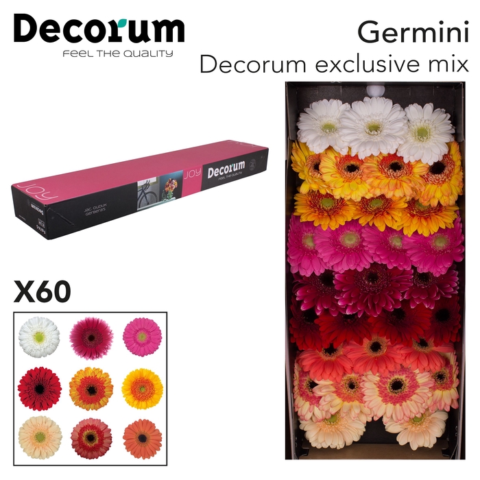 <h4>Germini Mix Exclusive Doos</h4>