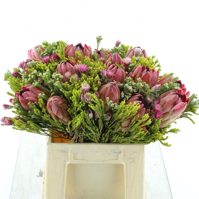 <h4>Kaaps Bouquet 3 Protea</h4>