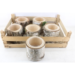 arr3 GB - Schors pot x6 kist