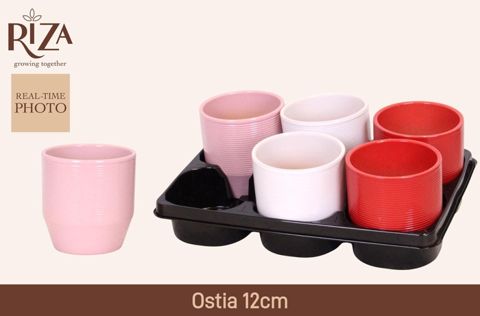 <h4>KERAMISCHE POT H%</h4>