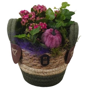 PTHI3292 Arrangement Autumn Indoor in rieten mand