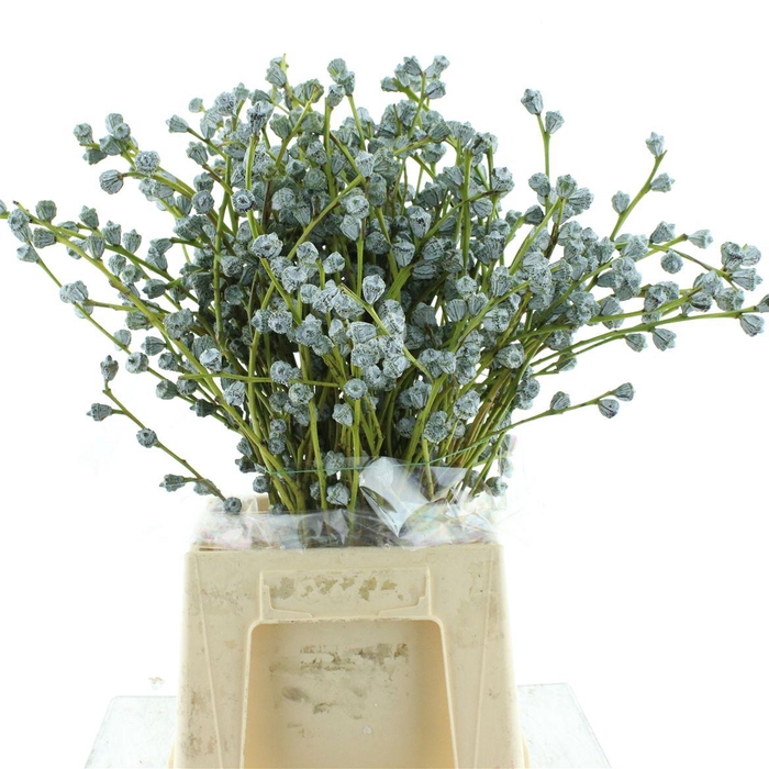 <h4>Euca Boule 250 Grams</h4>