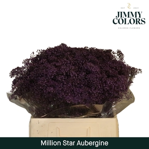 Gyps Million Star L60 Aubergine