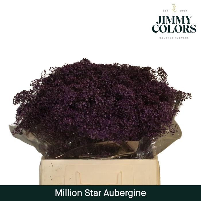 <h4>Gyps Million Star L60 Aubergine</h4>