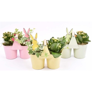 Zink duopot kl. mix 21x10cm