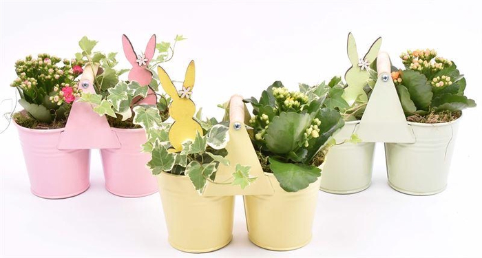 <h4>Zink duopot kl. mix 21x10cm</h4>