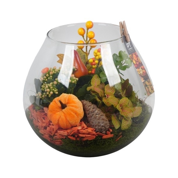 <h4>PTHG3379 Arrangement Autumn Glass in druppel vaas</h4>