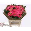Rosa Garden Middleton