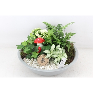 arr2 PL - Zink schaal grijs - wit