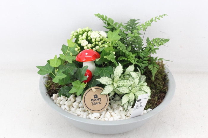 <h4>arr2 PL - Zink schaal grijs - wit</h4>