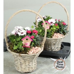 ARR TUINPLANTEN