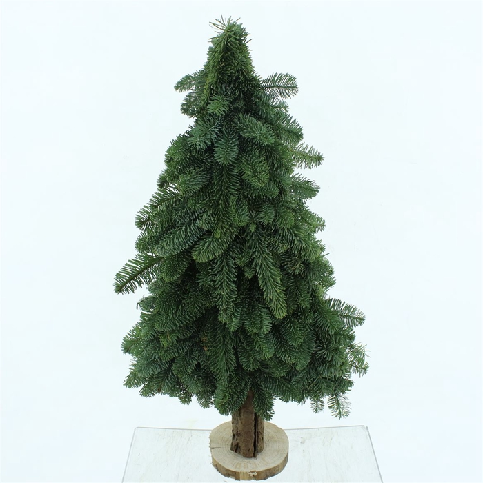 <h4>Nobilis Kerstboom Plat 80 Cm</h4>