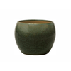 VASO LORANCE MUSGO D15 A13 IMP