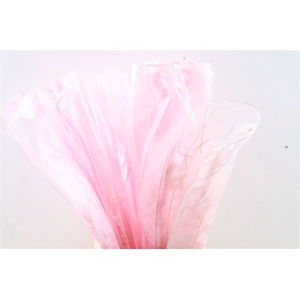 Feather Ostrich Feathers 55cm 5 Pcs Light Pink