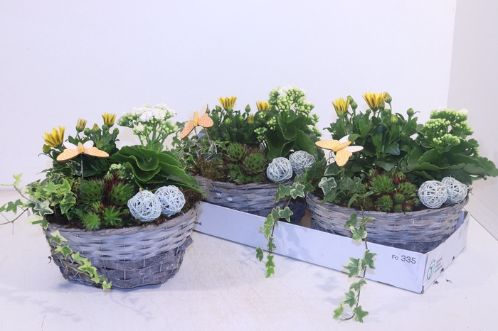 <h4>ARR TUINPLANTEN</h4>