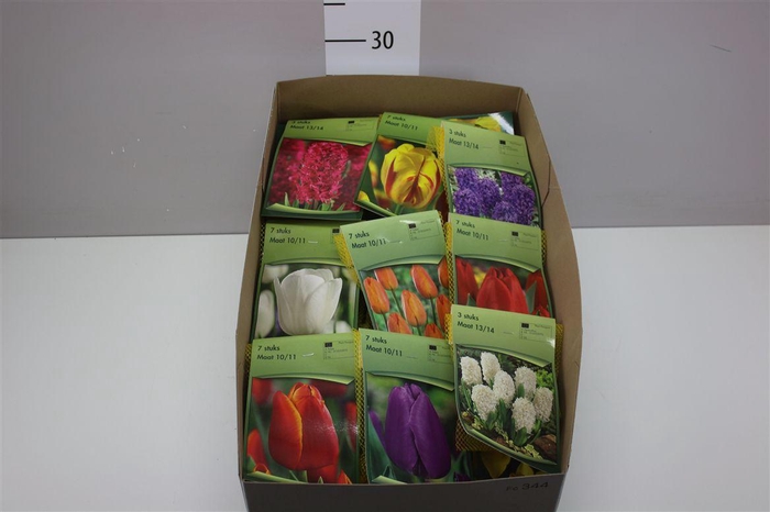 <h4>Bloembol Gemengd In Zakjes</h4>