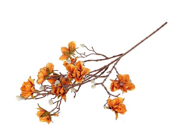 Branch Magnolia Grandi L88