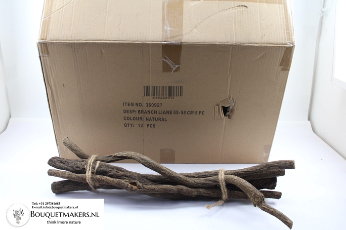 <h4>HUIS EN TUINDECO H%</h4>