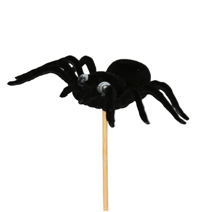 <h4>Halloween 50cm Spider 8cm</h4>