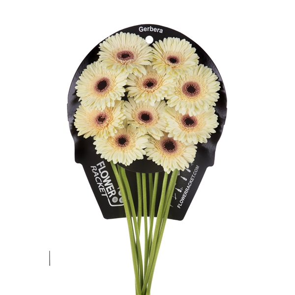 <h4>Gr Ge Eclair flowerracket</h4>