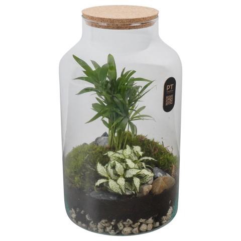 <h4>PTTER8140 Arrangement terrarium in glazen terrarium</h4>