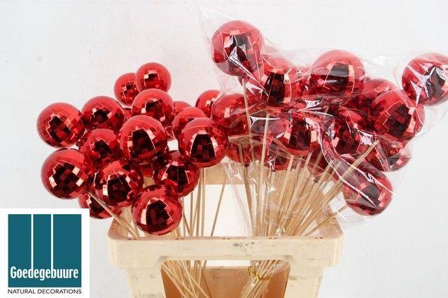 <h4>KERSTBAL OP STOK H%</h4>