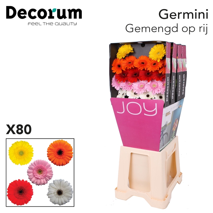 <h4>Germini Mix Diamond</h4>