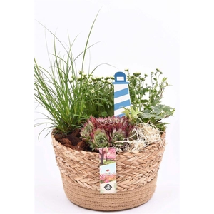 Natuur mand 23cm