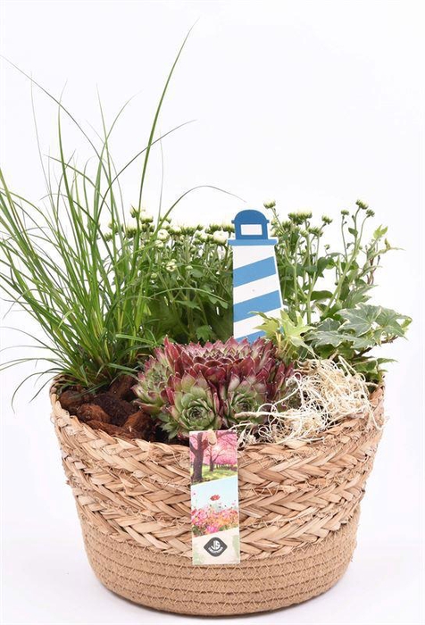 <h4>Natuur mand 23cm</h4>