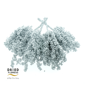 Dried Pepper Berries Koper