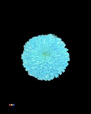 <h4>Chr G Superbowl Pastel Blue</h4>