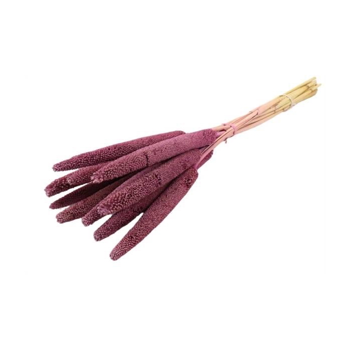 <h4>Bunch Babala 10pcs Slv L65</h4>