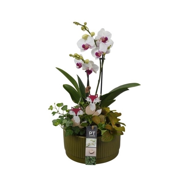 <h4>PTHI5594 Arrangement Herfst Indoor in Keramiek schaal</h4>