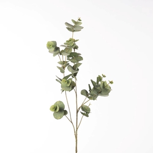 AF Eucalyptus L99cm Gr/Rd