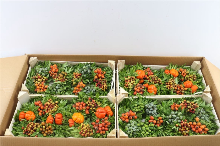 Wr Sierfruit 20cm (melli)