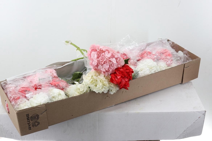 <h4>Hydr Love Mix Box</h4>