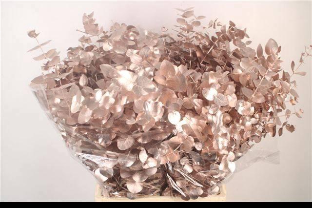 <h4>EUC CIN KLB P BOS H%</h4>