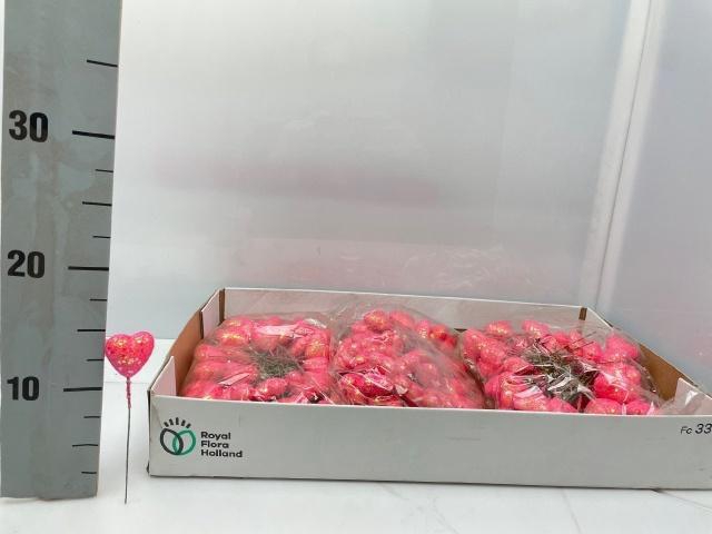 <h4>Hartje Op Stok H%</h4>